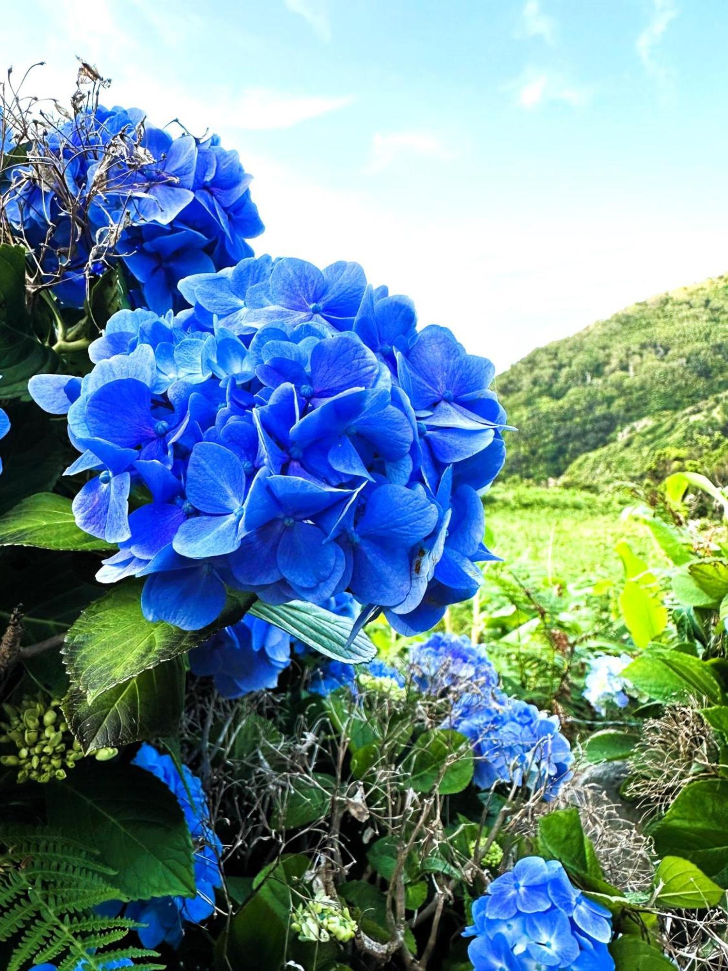 Caldeira Guesthouse Faja da Caldeira de Santo Cristo ภายนอก รูปภาพ