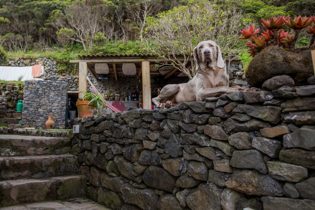 Caldeira Guesthouse Faja da Caldeira de Santo Cristo ภายนอก รูปภาพ